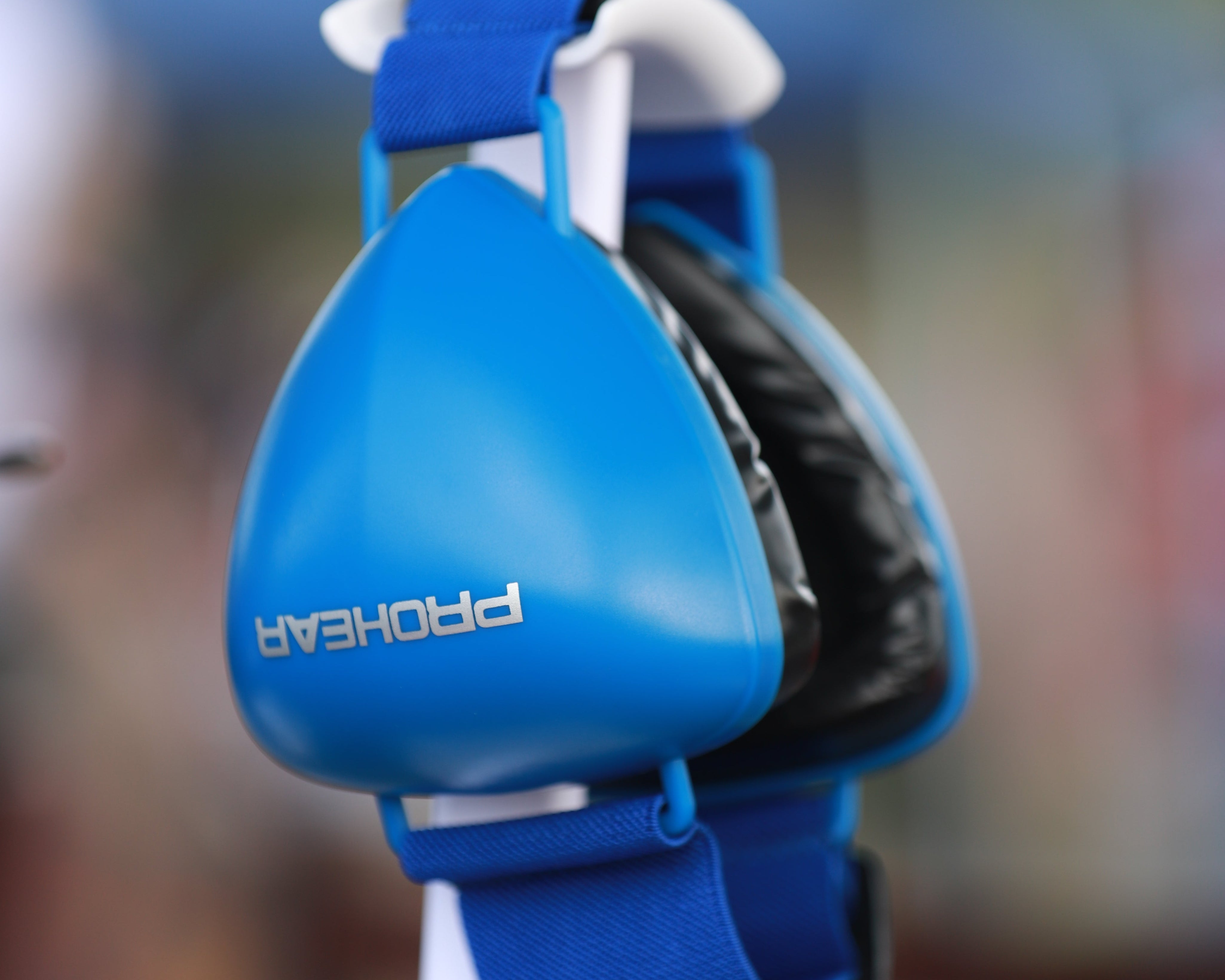 Fireworks, Thunder, & City Noise: Is Your Dog's Hearing at Risk?