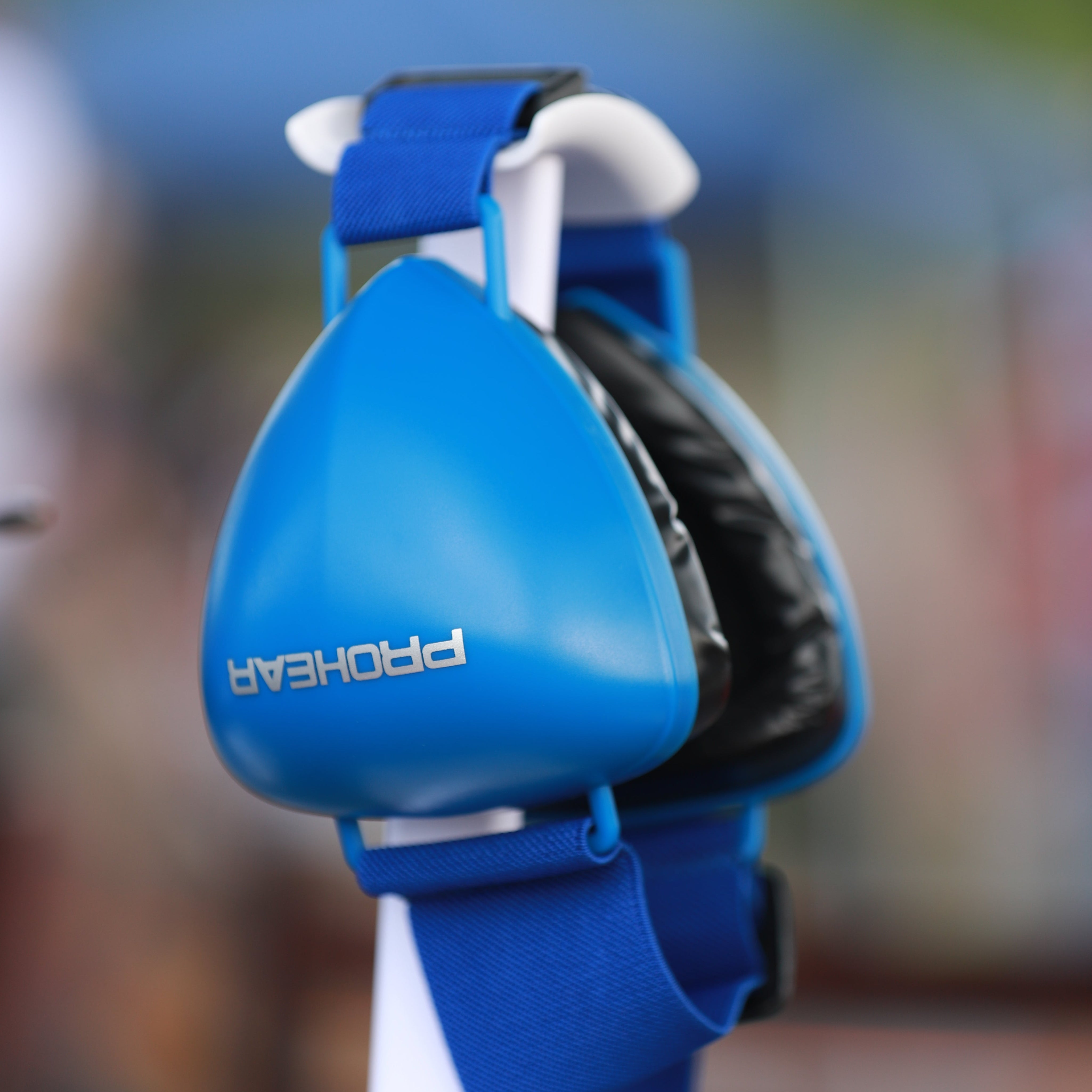 Fireworks, Thunder, & City Noise: Is Your Dog's Hearing at Risk?